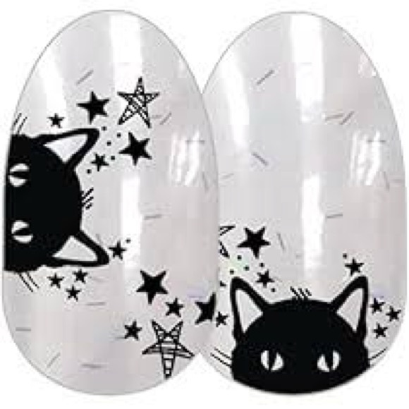 Color Street Other - Color Street Black Cat and Star Press-On Nails